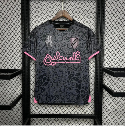 Palestine 2024 Concept